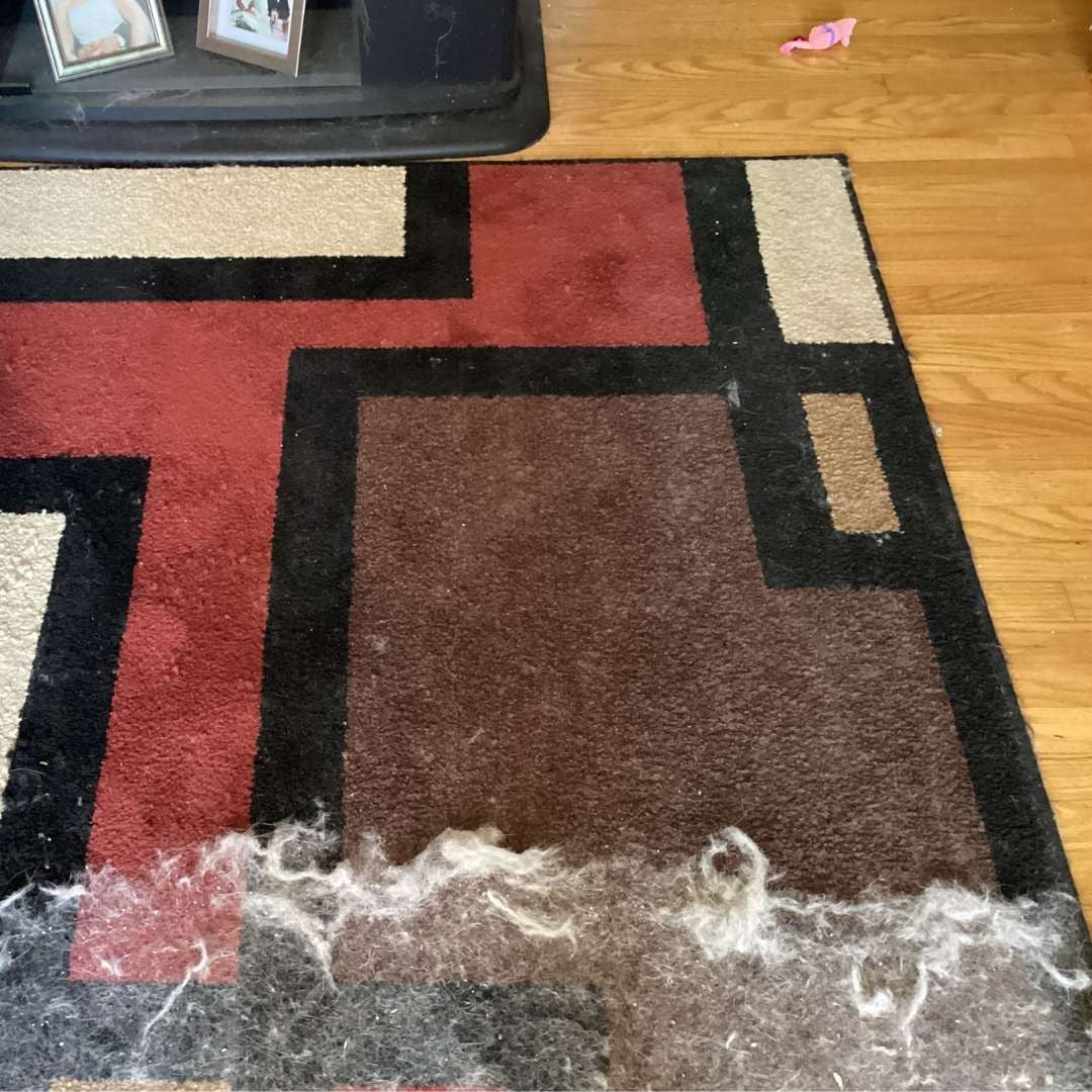 CleanSweep™