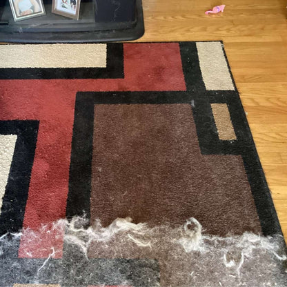 CleanSweep™